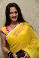 Surekha Vani Saree photos